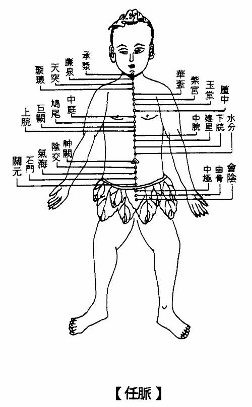 针灸大成之人体身体穴位标记-红穆笔记