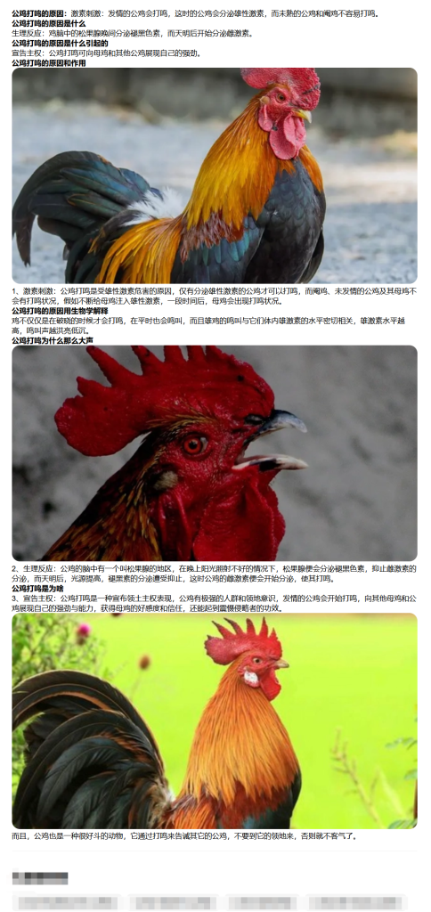 ad1a1b7183204358