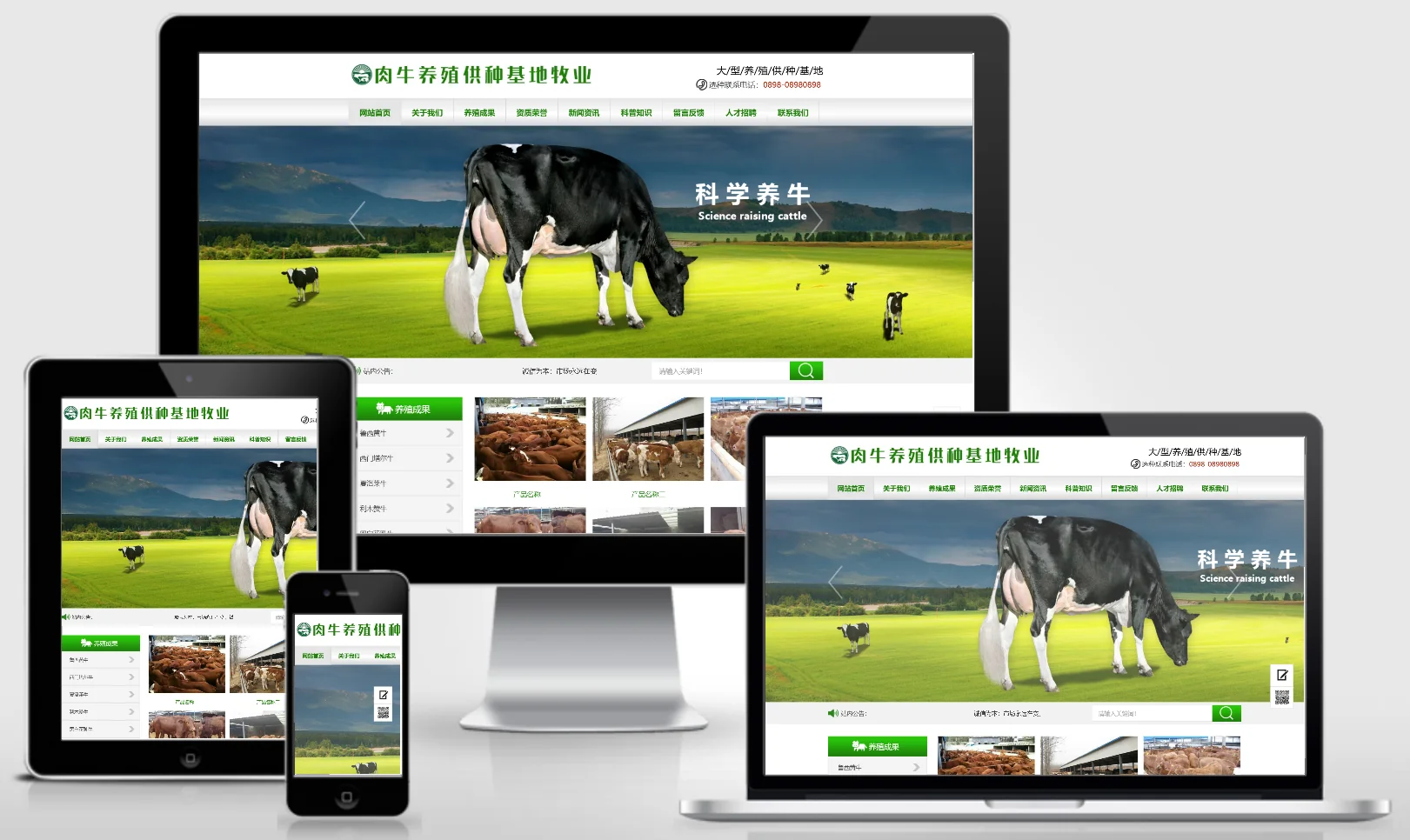 模板截图