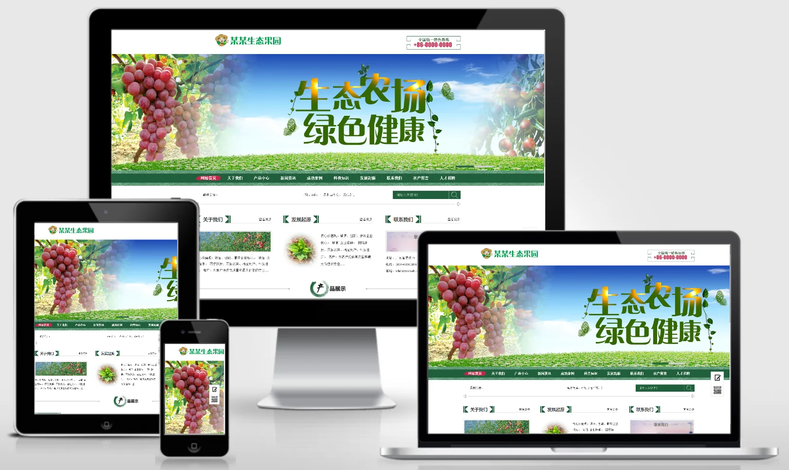模板截图