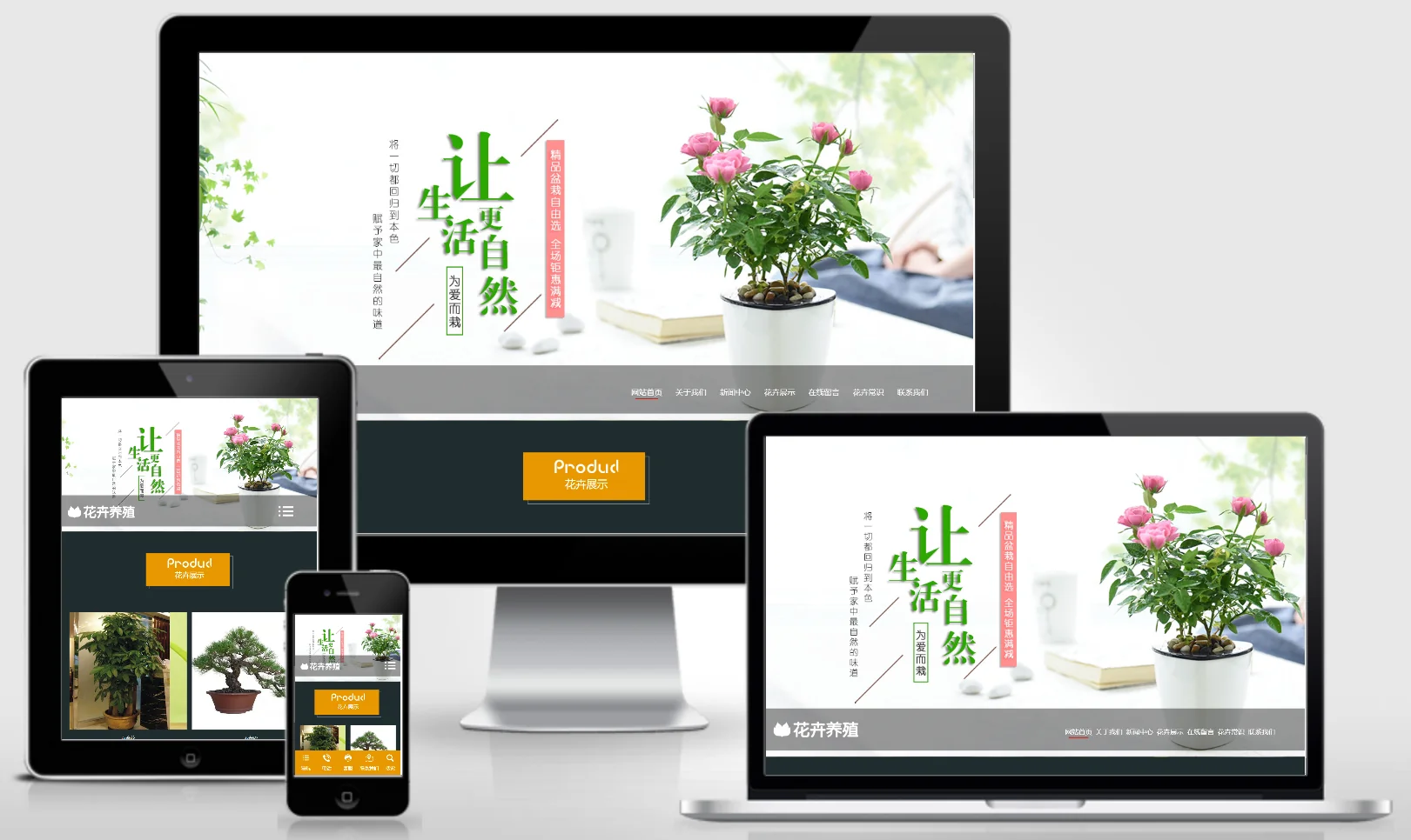 模板截图