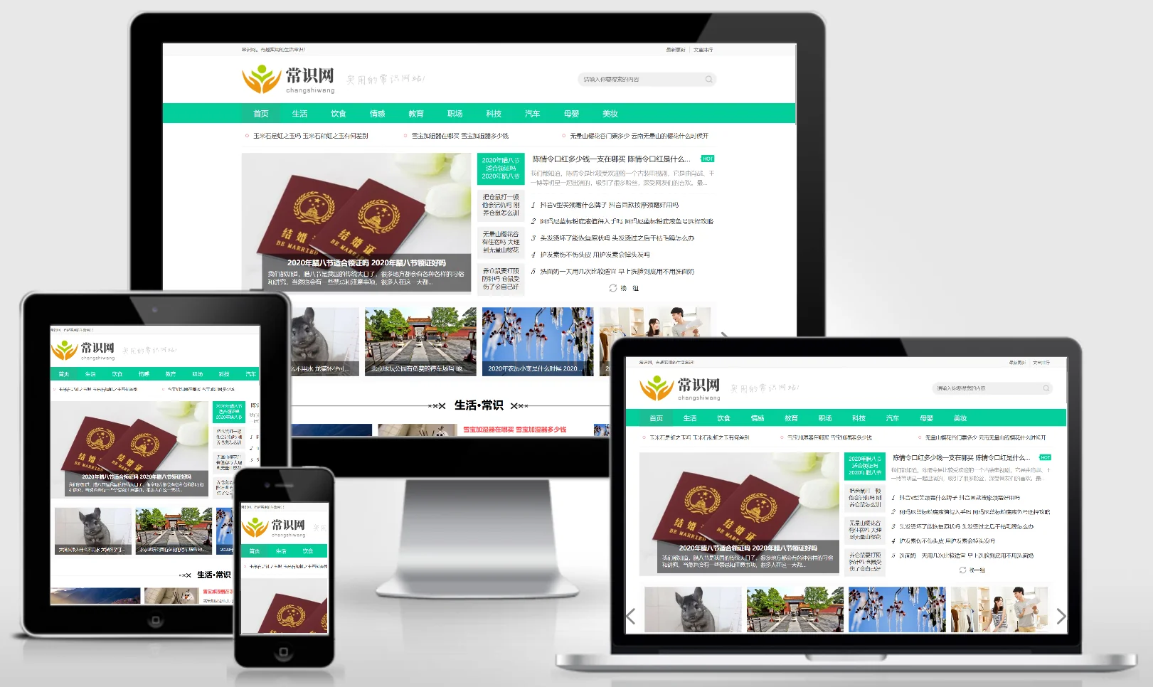 模板截图