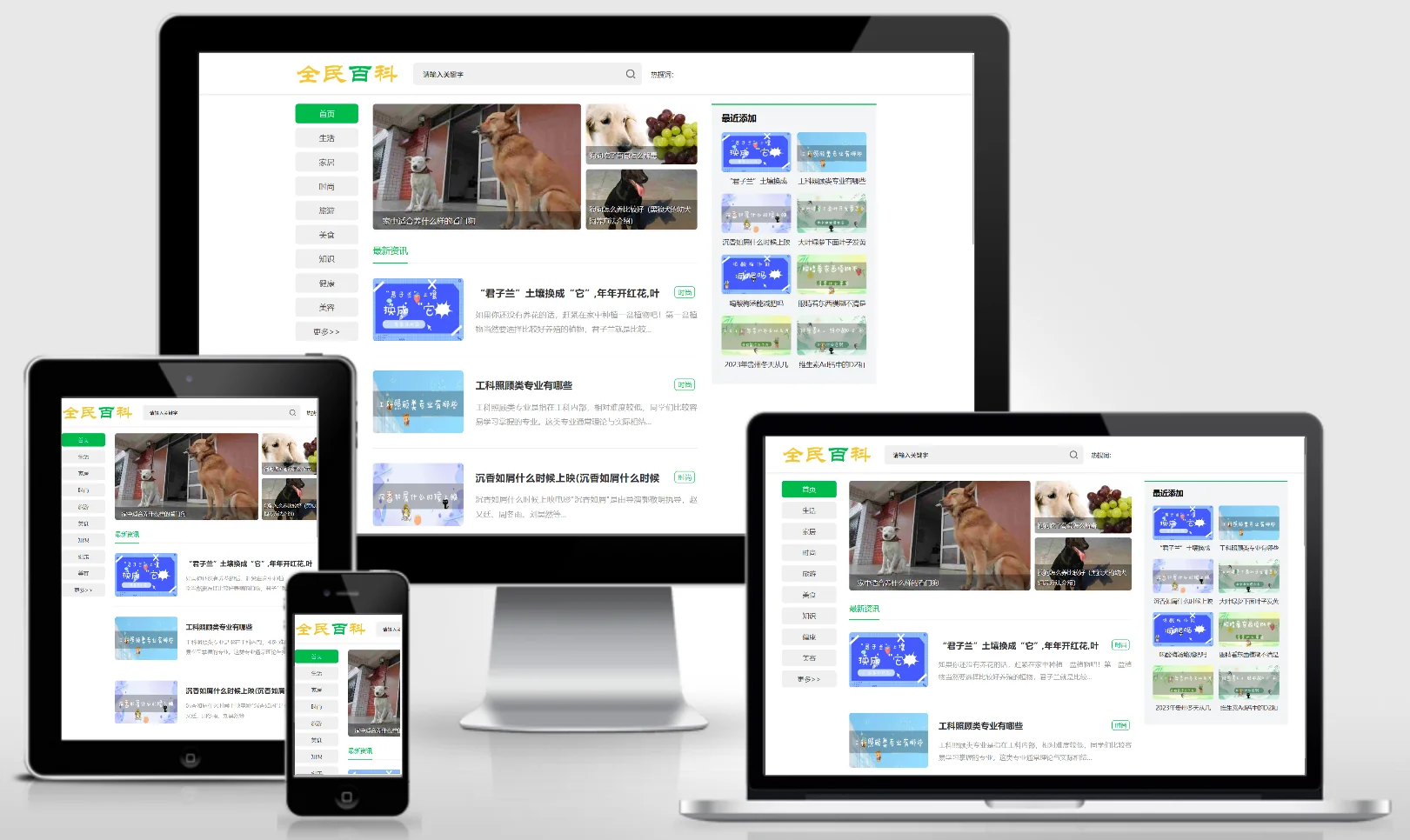 模板截图