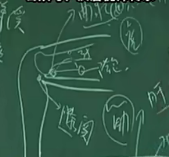 图片[31]-针灸大成之人体身体穴位标记-红穆笔记