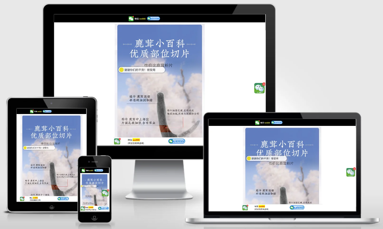 模板截图